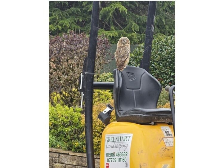 Turn Over a New Leaf with This Thriving Landscaping Business!