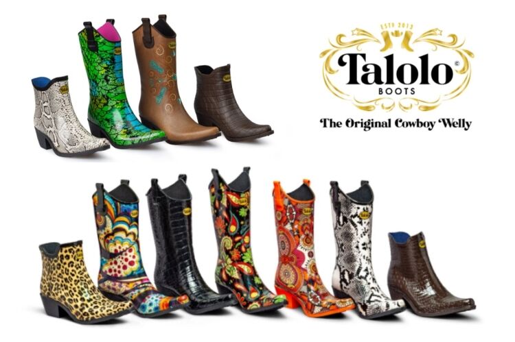 Established Online Footwear Retailer Photo 7