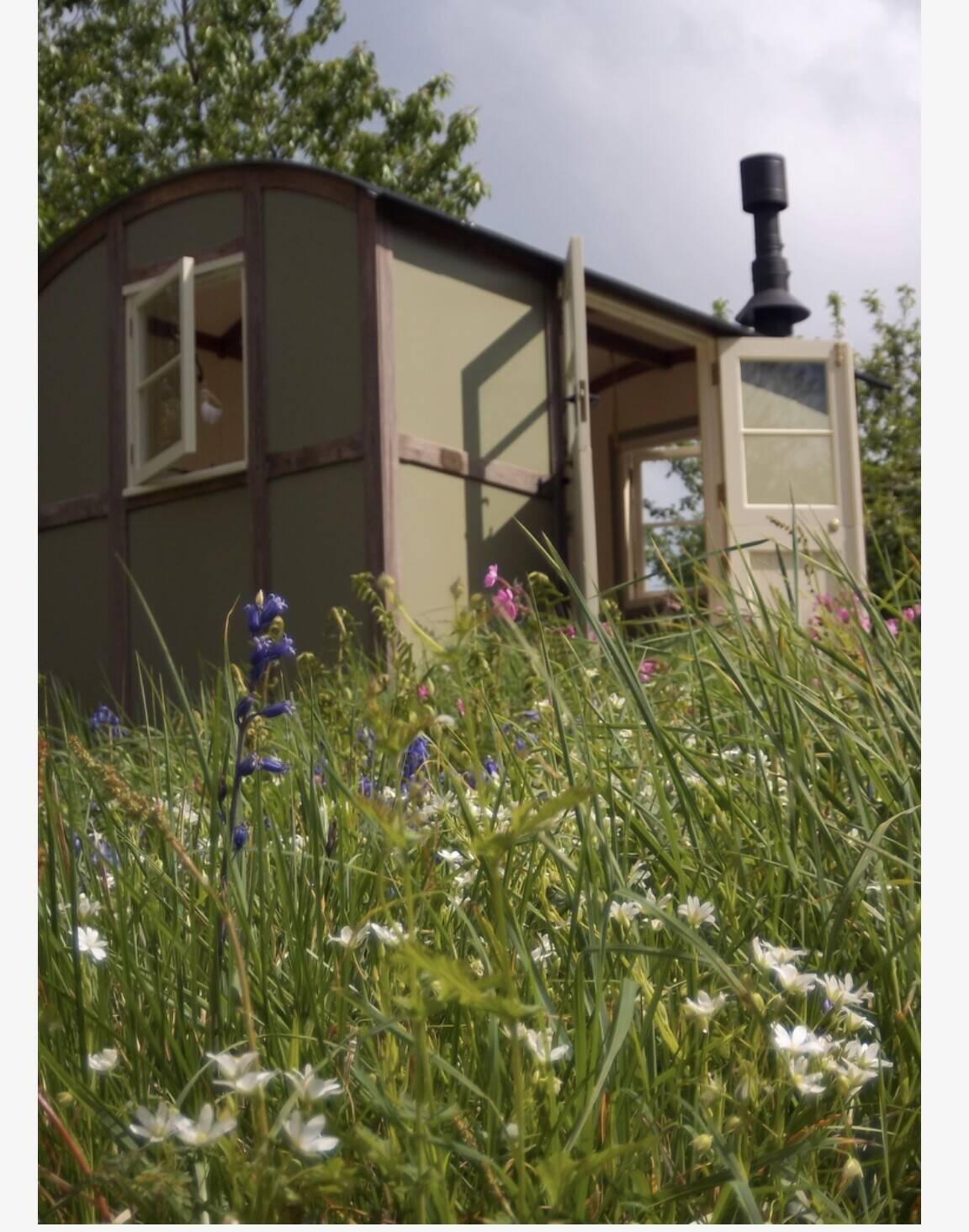 Shepherds hut Company for sale