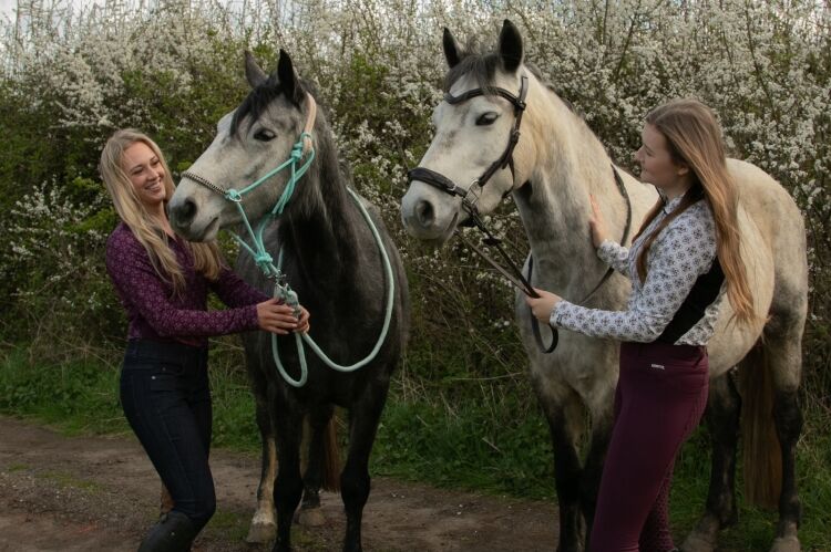 Relocatable Equestrian Retailer