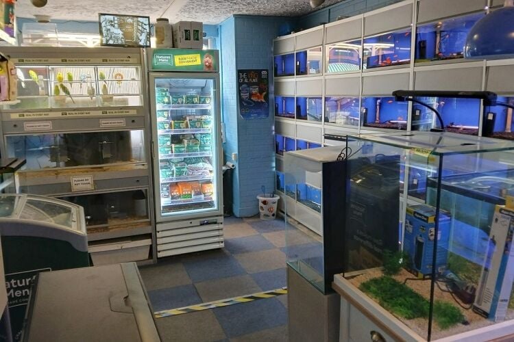 Established Pet & Aquarium Shop - Heywood Photo 7
