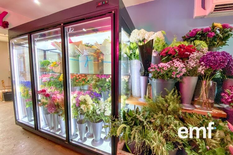 Established Florist Business