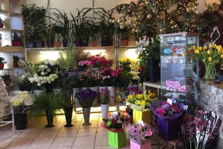 Established Florist - Renfrew