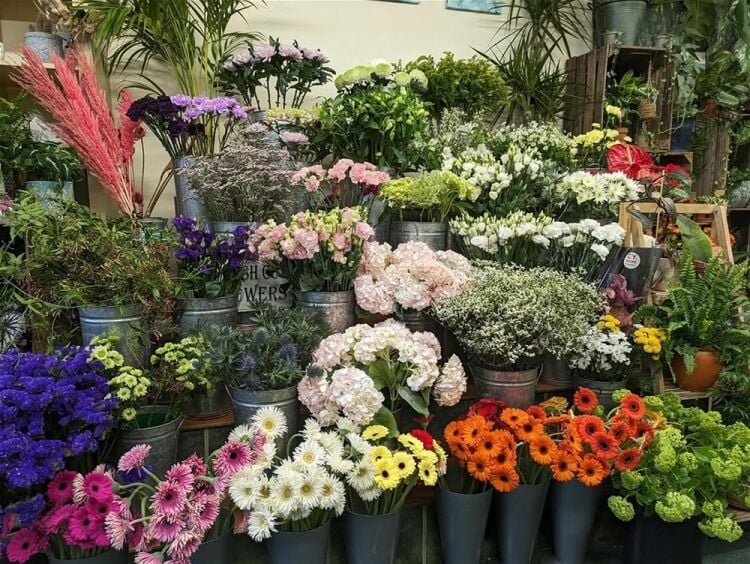AN ESTABLISHED FLORIST