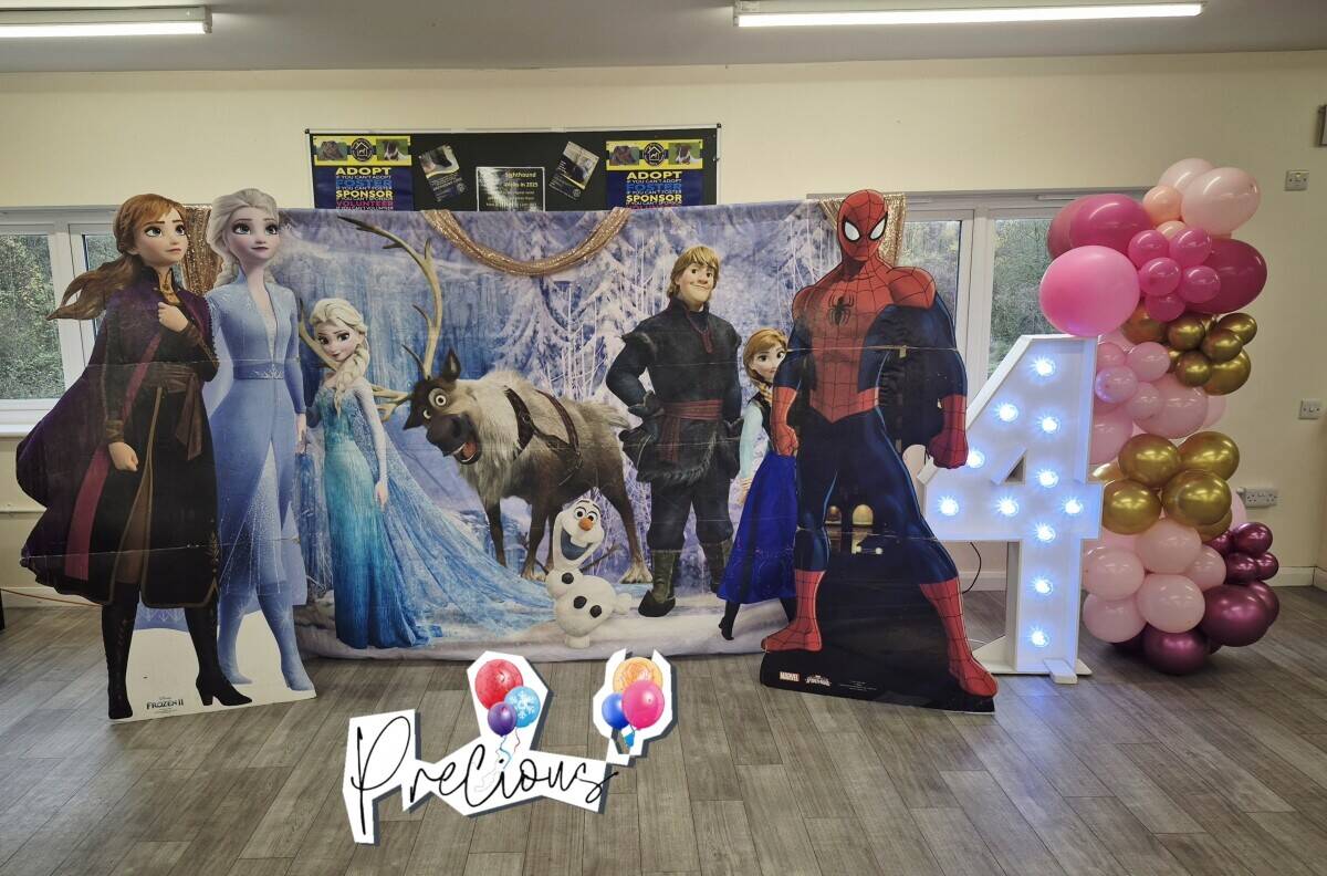 Childrens Party company for sale Dudley West Midlands Photo 7