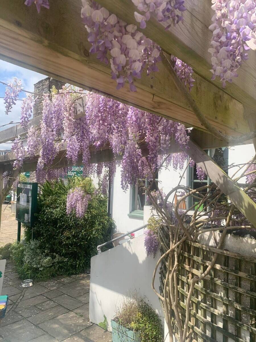 Village cafe in the heart of Yealmpton sitting on the edge of the glorious South Hams Photo 7