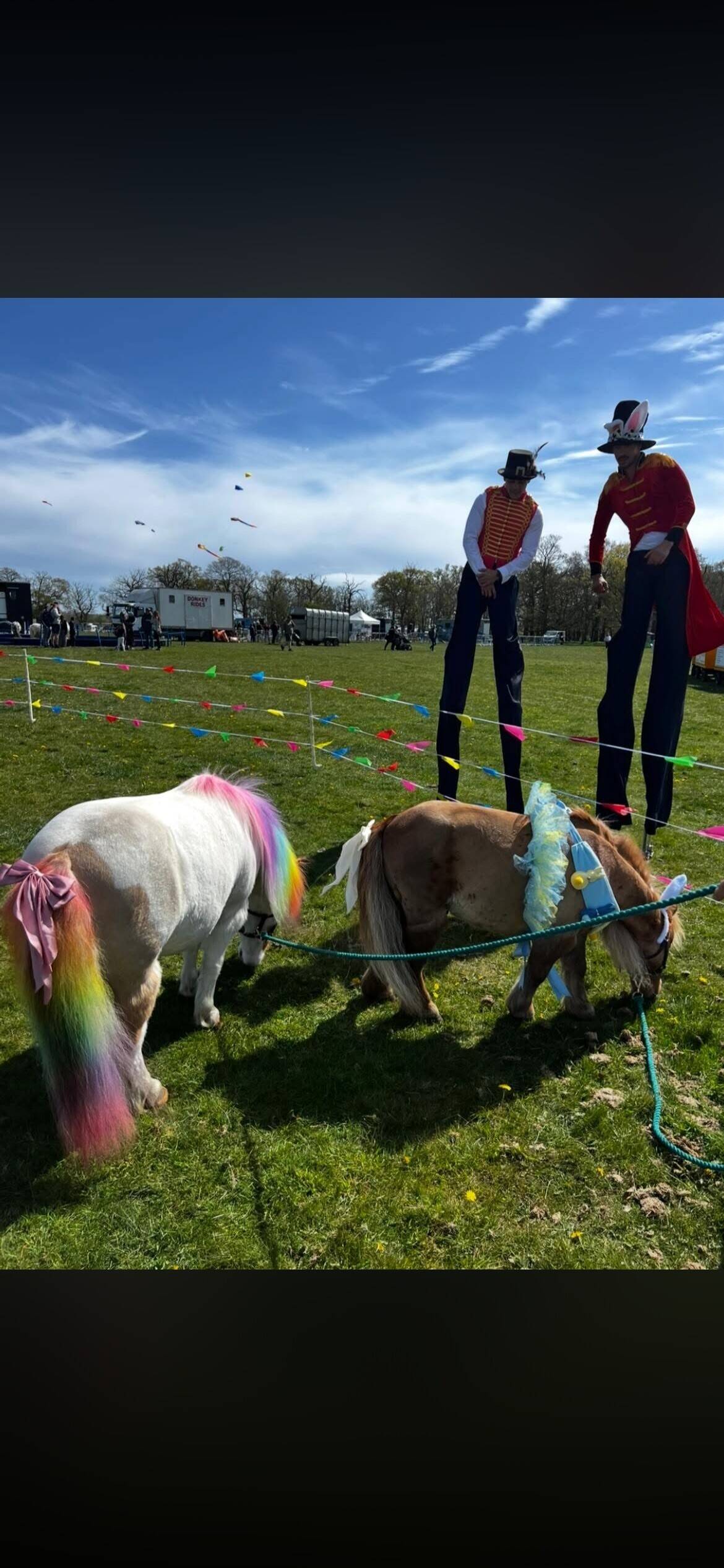 Miniature Pony Event Party Provider Business Photo 7
