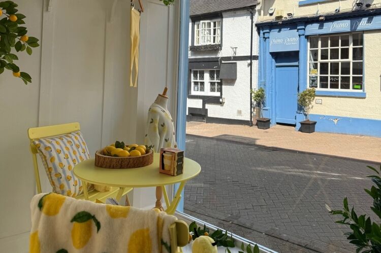 Children's Retail & E-Commerce Business - Leek Photo 7