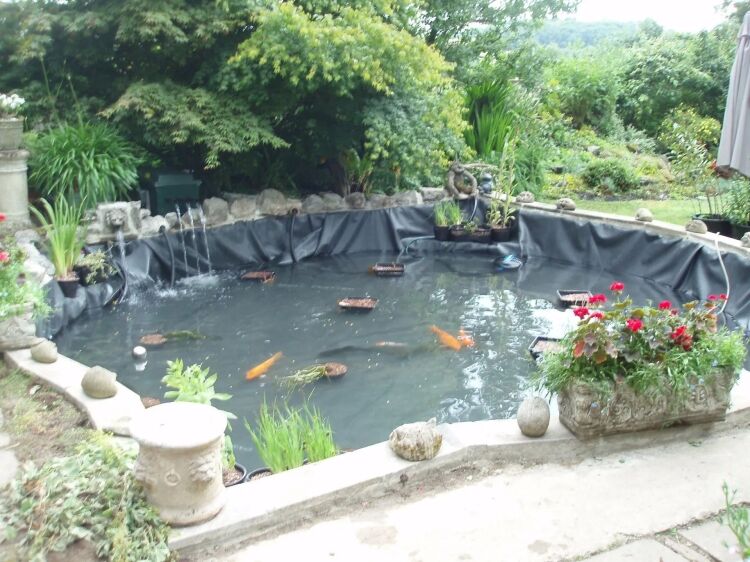 GARDEN POND MAINTENANCE & INSTALLATION