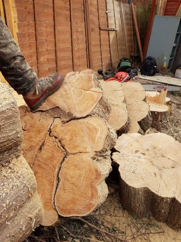 Established Tree Surgery Business - Derbyshire