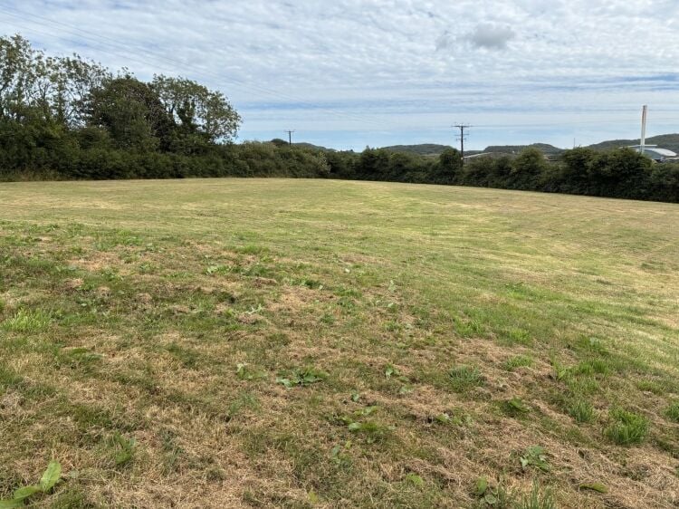 Highly Rated Boarding Kennels and Cattery with detatched 5 Bedroom House