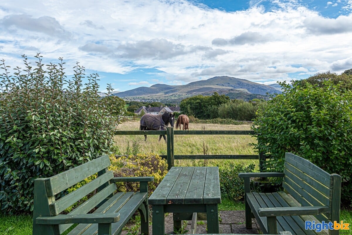Multi stream income Lifestyle Business on one of the major Tourist Routes into Snowdonia Photo 8