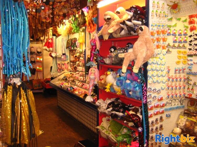 Freehold Gift Shop Located In East Looe