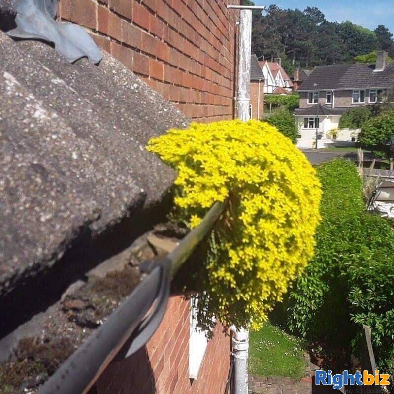 Gutter, Roof, Cleaning and Repair Business for Sale, earn £500+ per day Photo 8