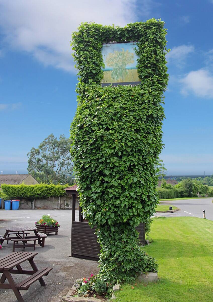 GLOUCESTER - SUBSTANTIAL EDGE OF VILLAGE PUBLIC HOUSE