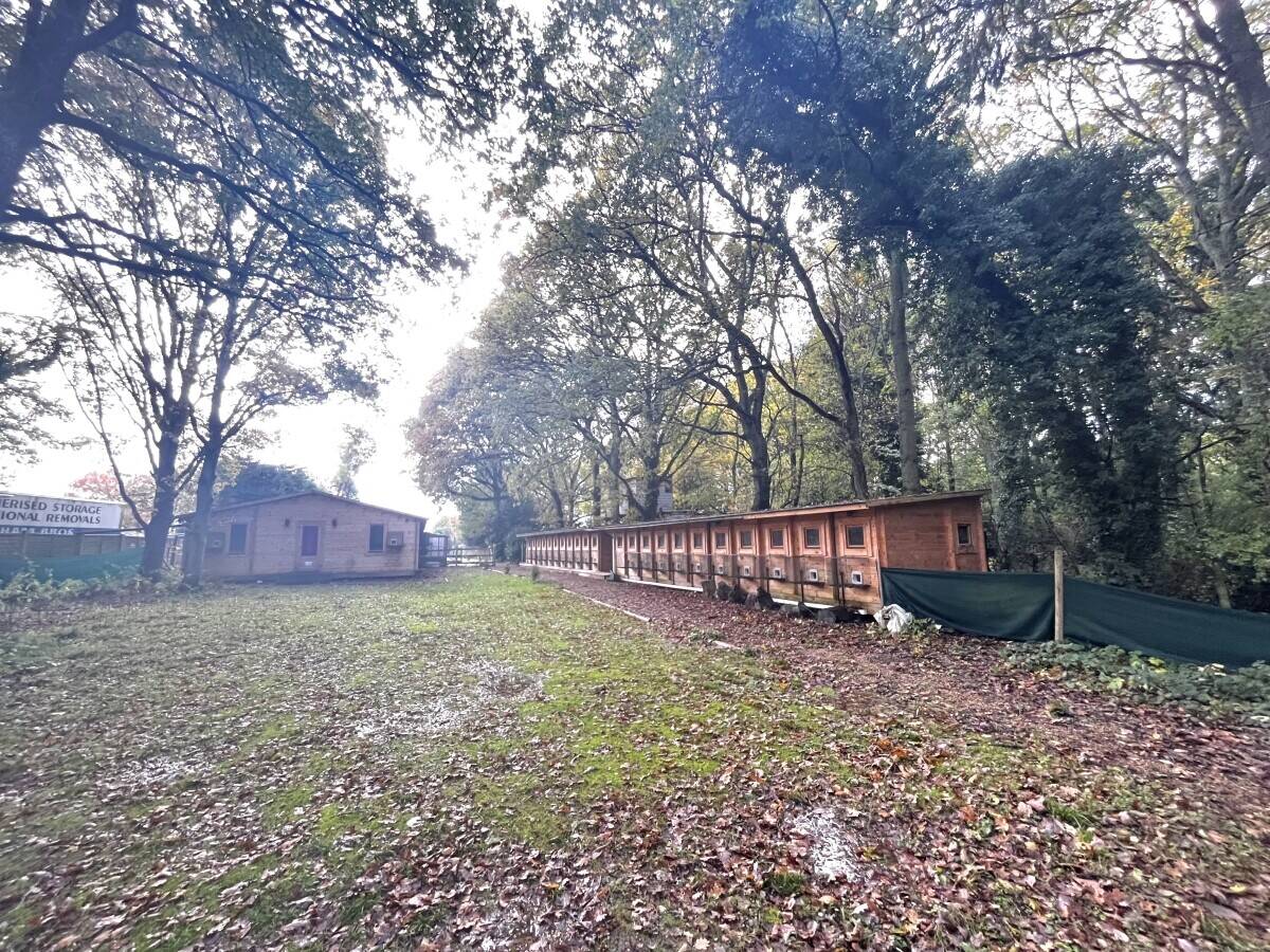 Luxury Five Star Boutique Cat Hotel and residence set in 3 acres Photo 8