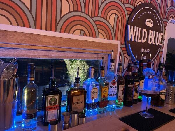 Mobile Bar - Vintage Caravan Bar - with website and bookings for 2024 in Devon Photo 8