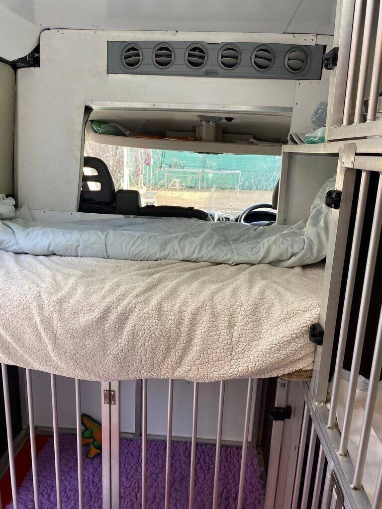 International Pet (Dogs and Cats) Transport Van - with all Licenses