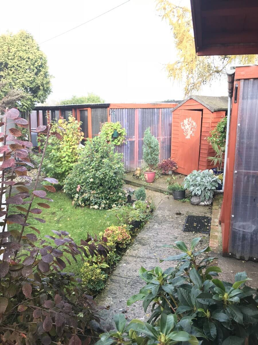 Kennels and cattery in Leicestershire with Accommodation