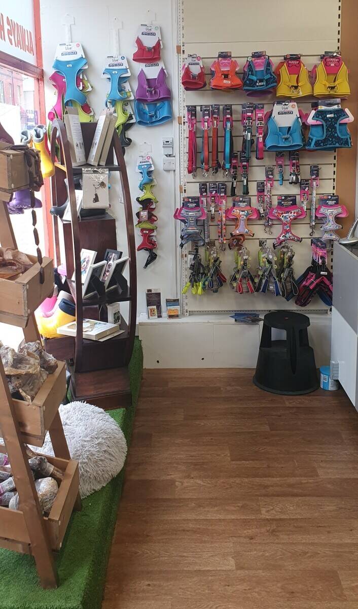 Pet Shop for sale Photo 8