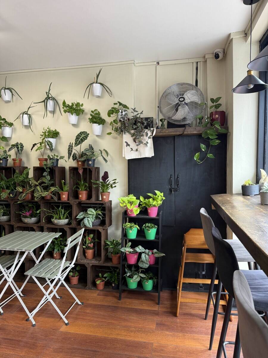 Profitable Plant Caf&eacute; In Highbury For SALE  - No business rates