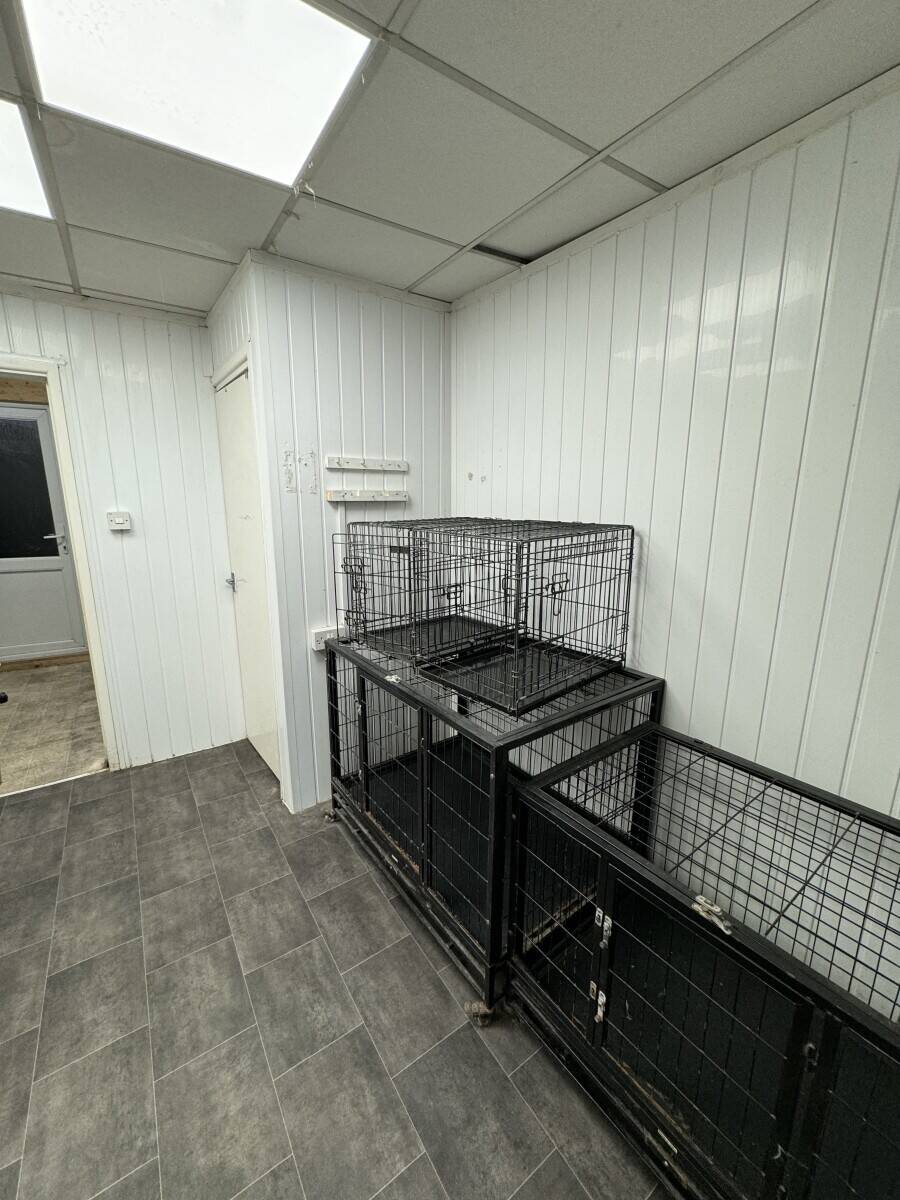 Dog grooming business for sale Tonypandy  Photo 8