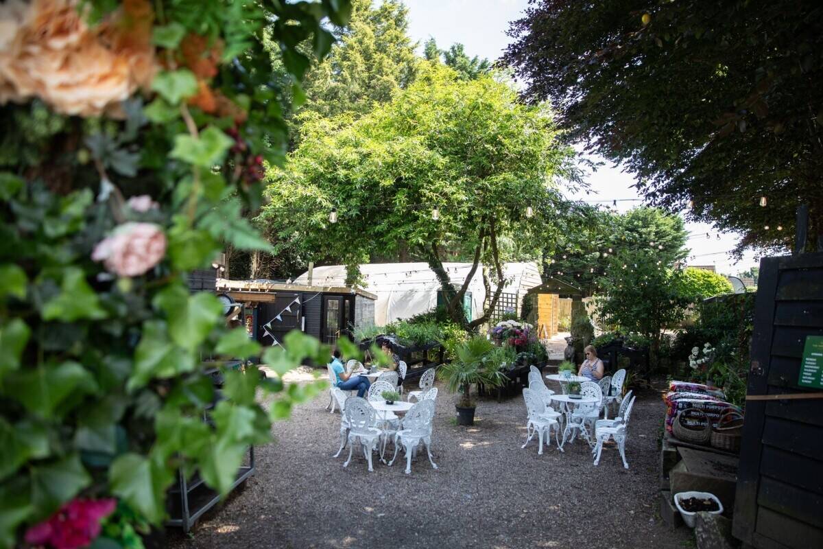 Events Venue, Garden Centre, Coffee Shop, Interior Gift Shop Photo 8