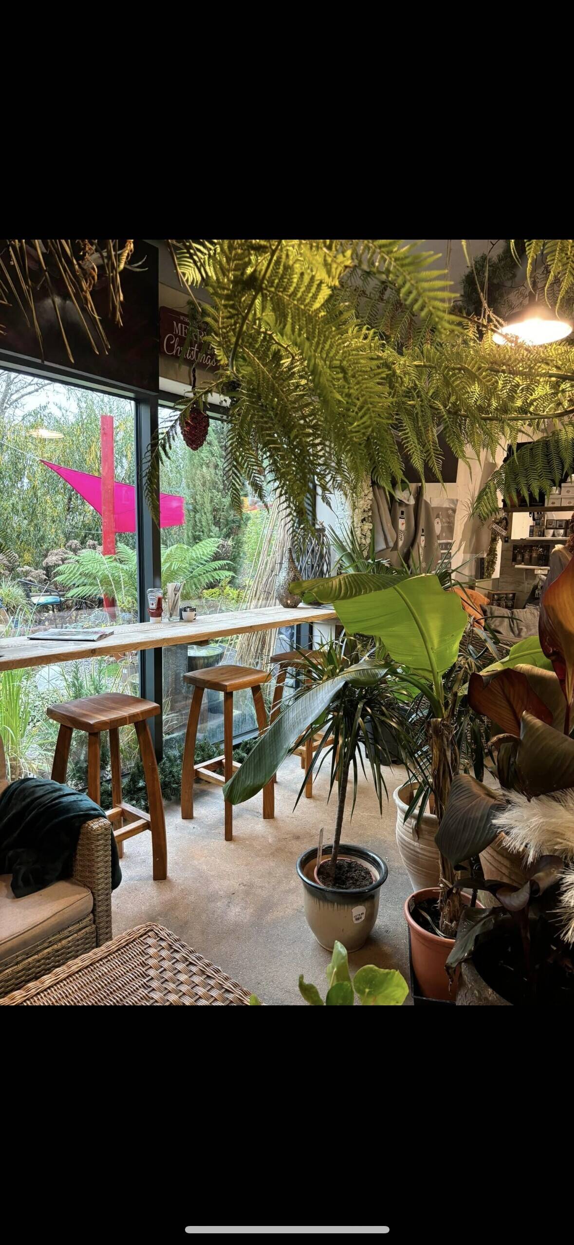 Garden centre and jungle cafe Photo 6
