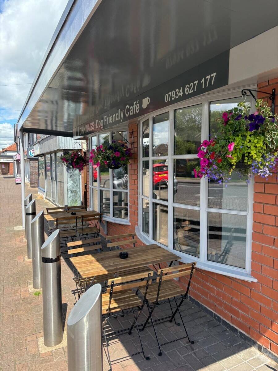Dog friendly cafe Photo 9