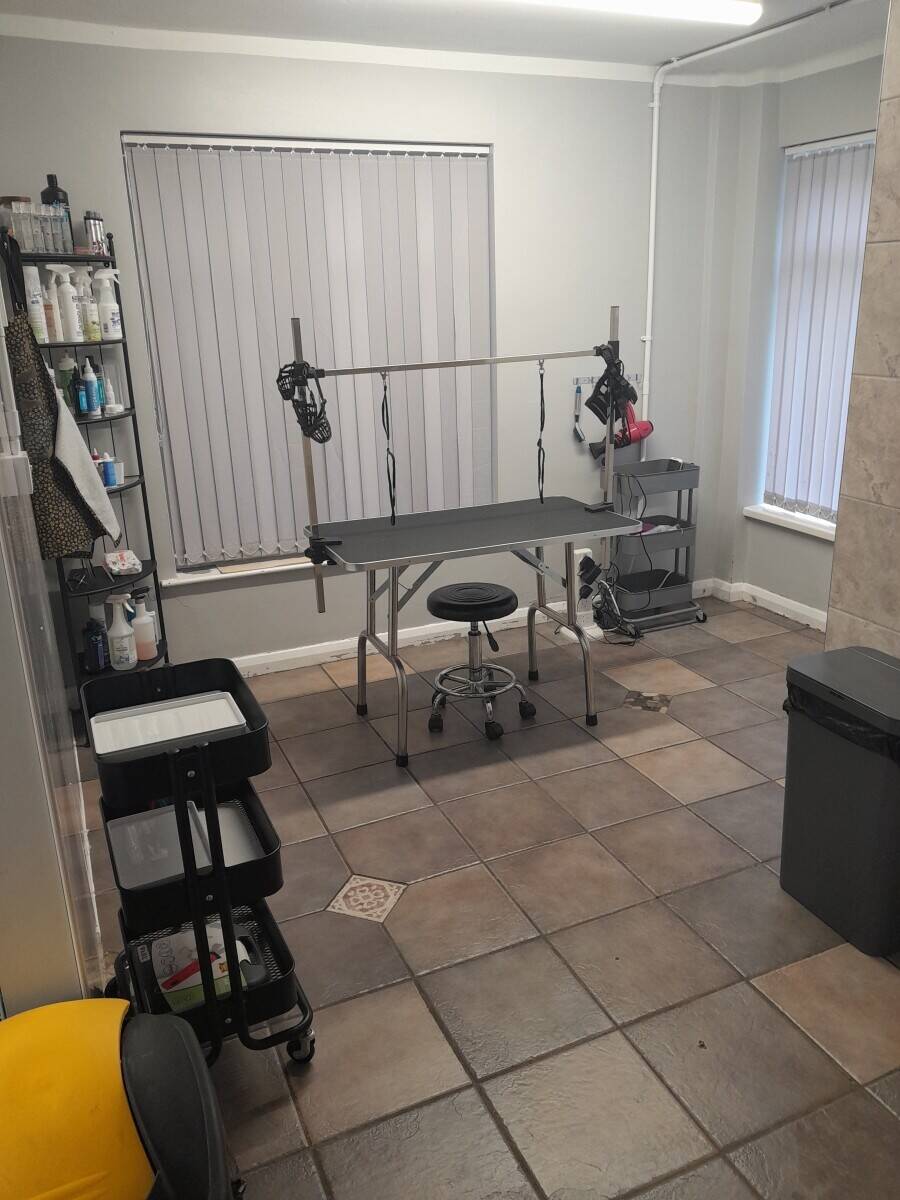 Doggie Wash and Grooming in Dorchester