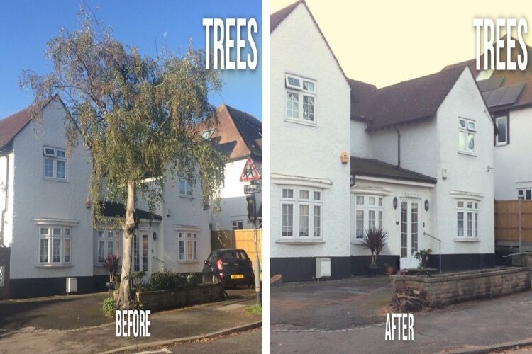Relocatable Landscape Gardening Business Photo 8