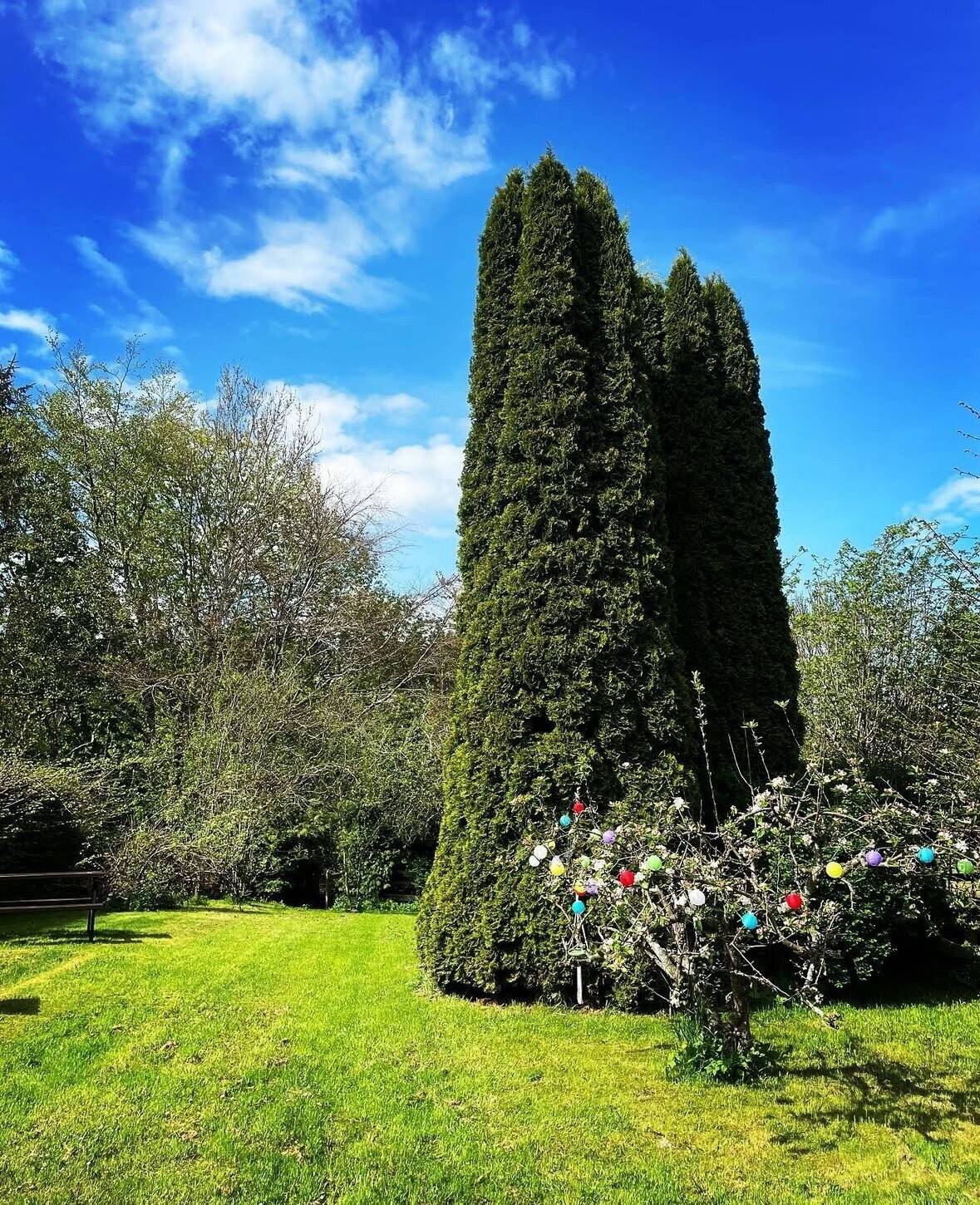 Attractive Inn Overlooking the Green in a Pretty Scottish Borders Village - For Sale Photo 8
