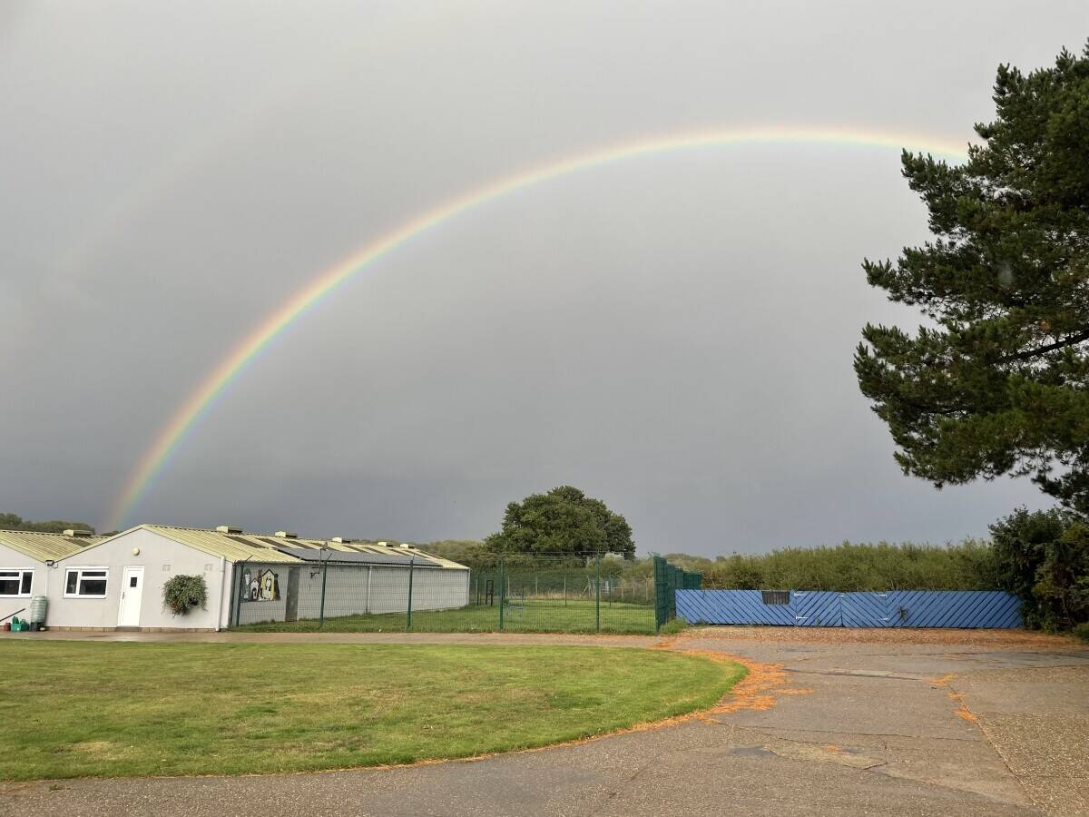 5 ⭐️ Kennels & Cattery set in 6 acres of countryside Photo 8