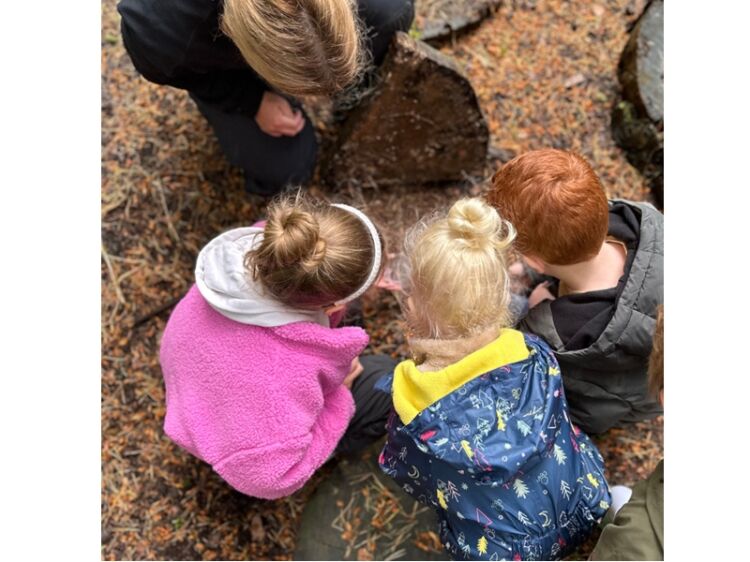 Award-Winning Children’s Play Business in the Heart of the Cotswolds