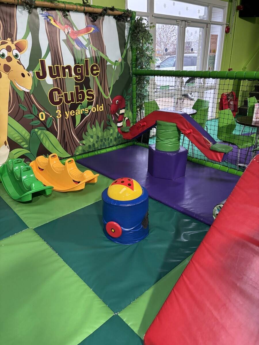 Large Jungle-Themed Soft Play Centre Playframe, Toddler Area, Baby Area, &ndash; Setup Ready for Relocation or New Venue!