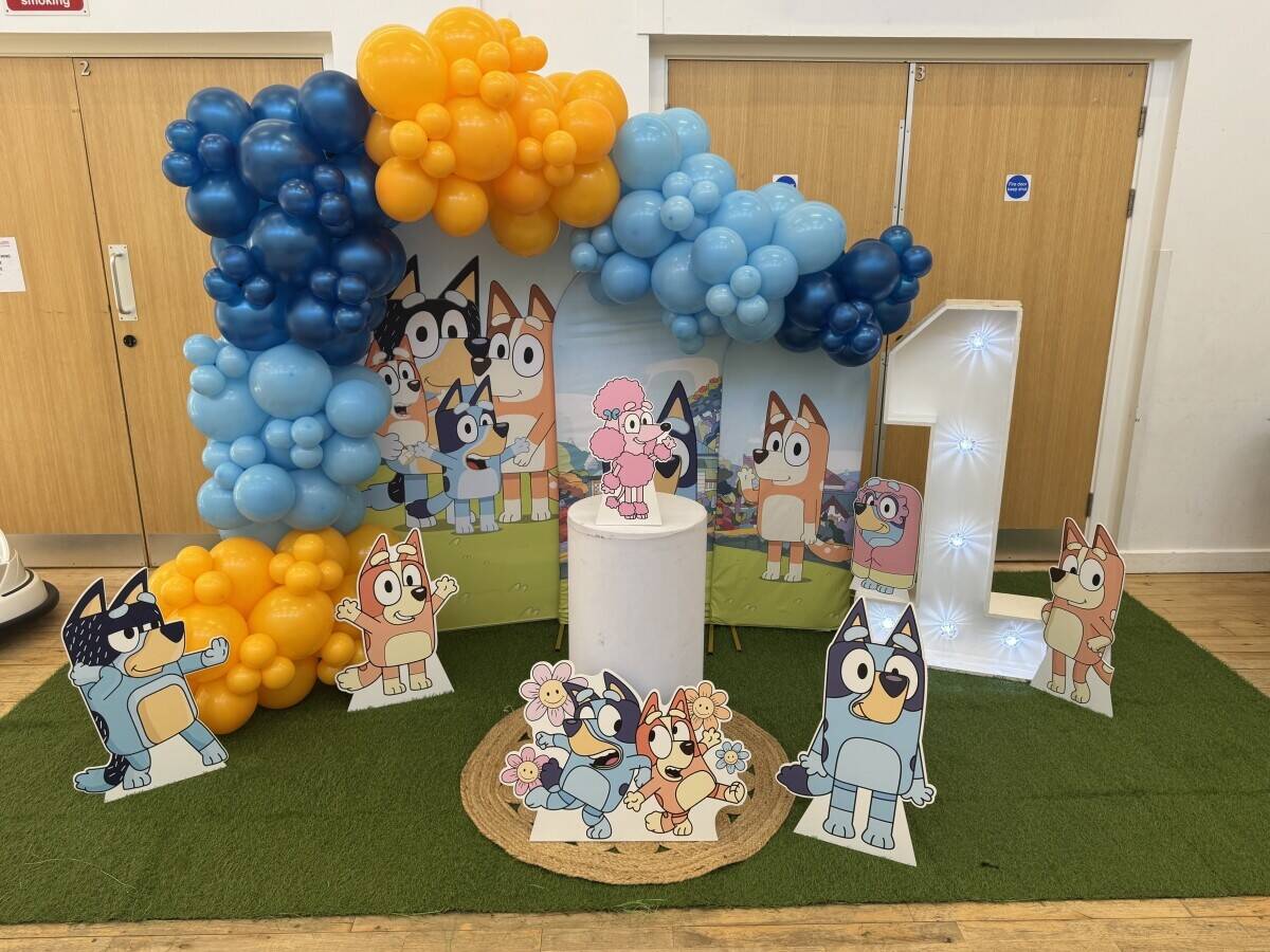Ready-Made Party Hire Business for Sale &ndash; Soft Play, Castles & Balloons Included Photo 8