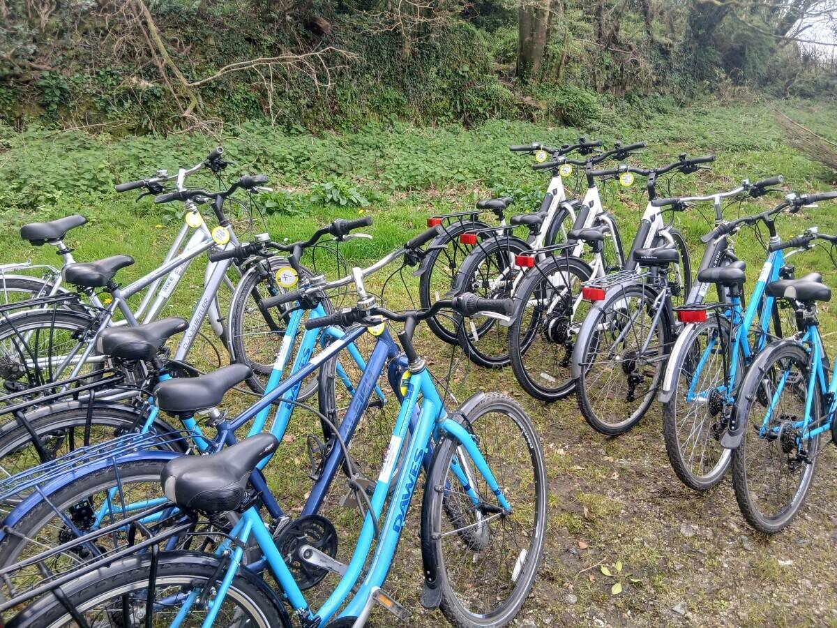 Successful, owner operated Bicycle Hire