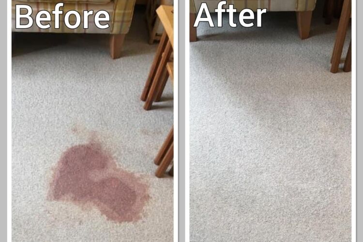 Franchise Carpet & Upholstery Cleaning Business Photo 8