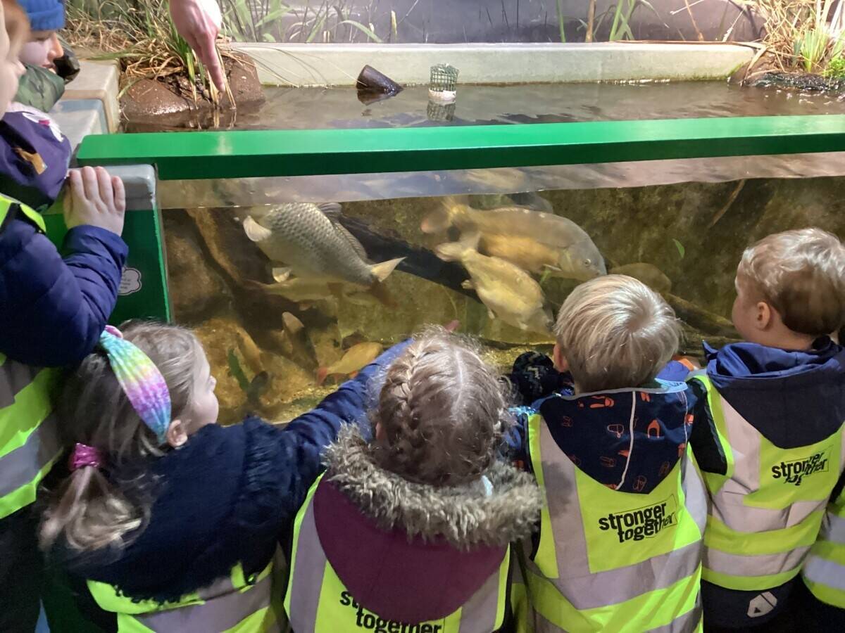 Award Winning & Unique Aquarium with Cafe & Gift Shop - North Devon Seaside Town Photo 8