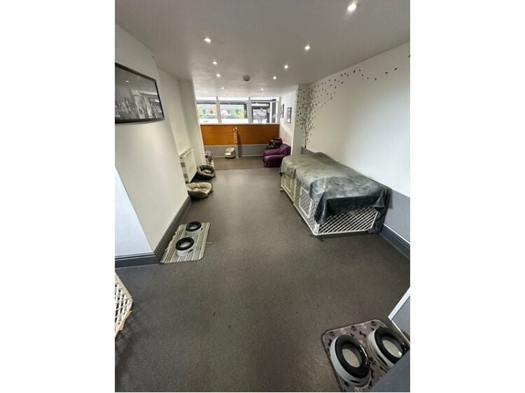 Paws, Play & Profit – Thriving Doggy Daycare with Loyal Client Base