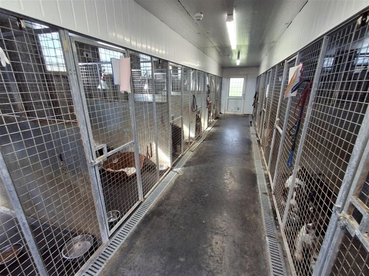 Kennels, Cattery & Equestrian businesses For Sale in Poulton-le-Fylde Photo 8