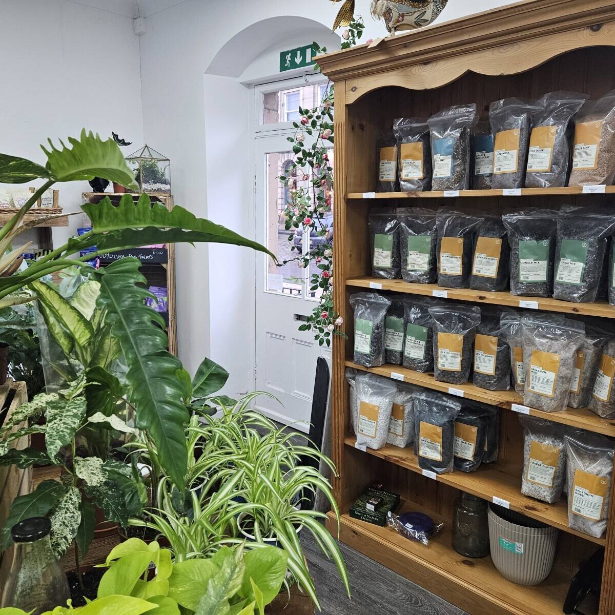 Retail Shop Skipton High st Photo 8