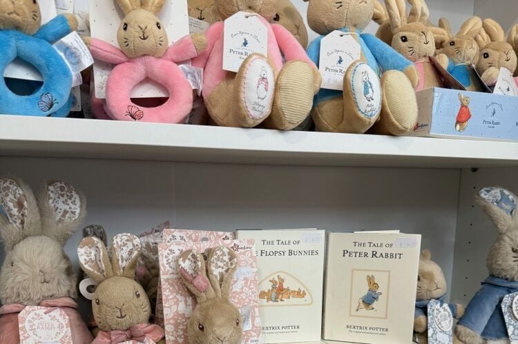 Children's Retail & E-Commerce Business - Leek