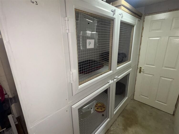 Kennels, Cattery & Equestrian businesses For Sale in Beverley