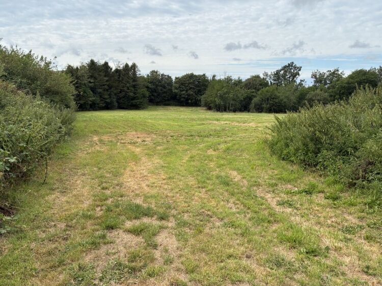 Highly Rated Boarding Kennels and Cattery with detatched 5 Bedroom House