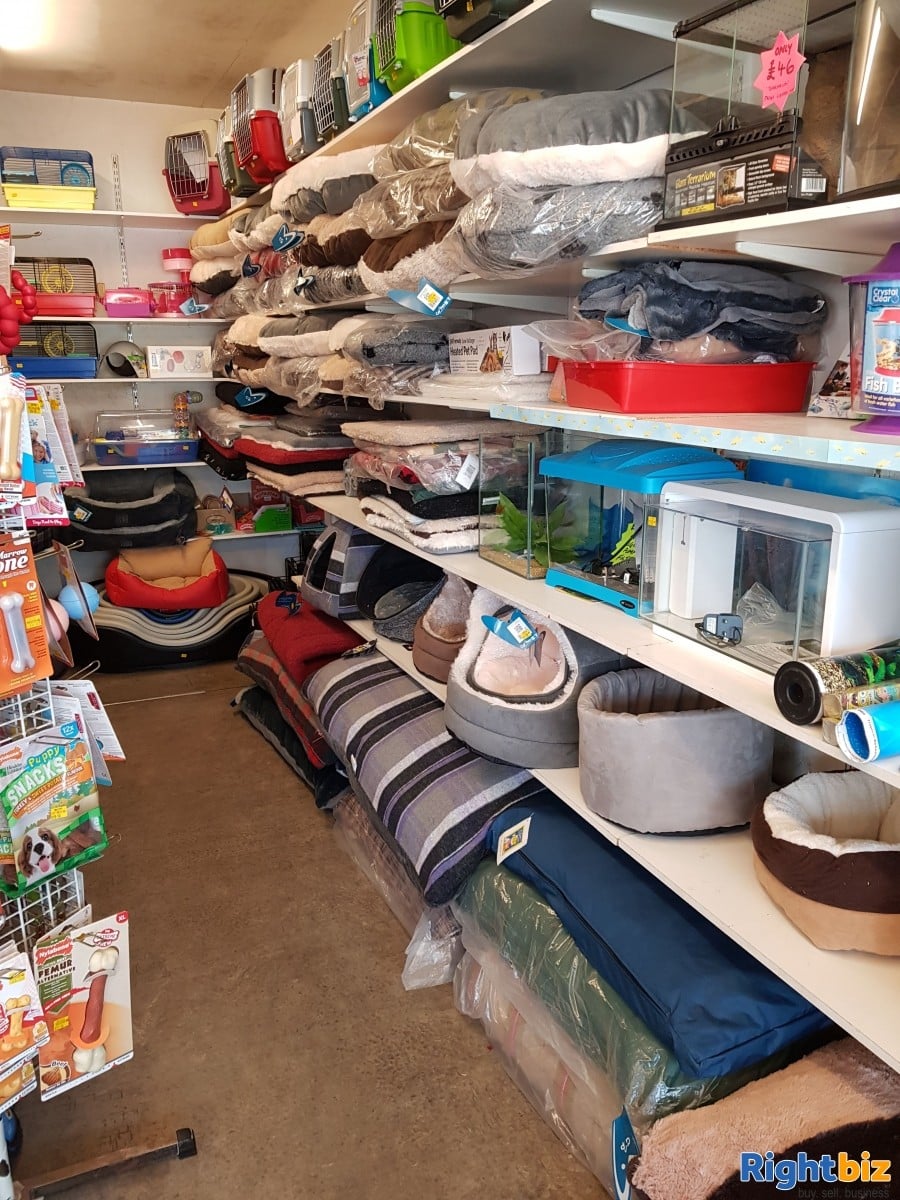 Pet Shop for Sale, Investment opportunity Photo 9