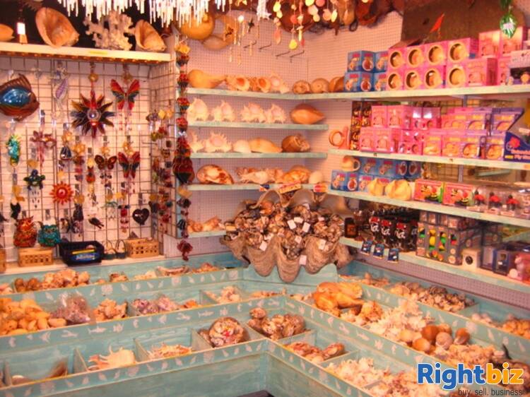 Freehold Gift Shop Located In East Looe Photo 9