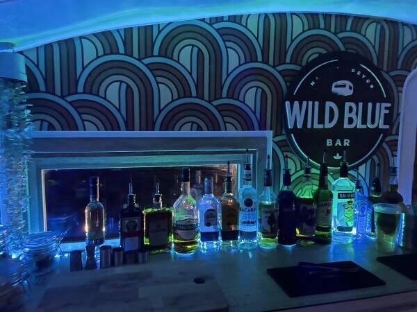 Mobile Bar - Vintage Caravan Bar - with website and bookings for 2024 in Devon