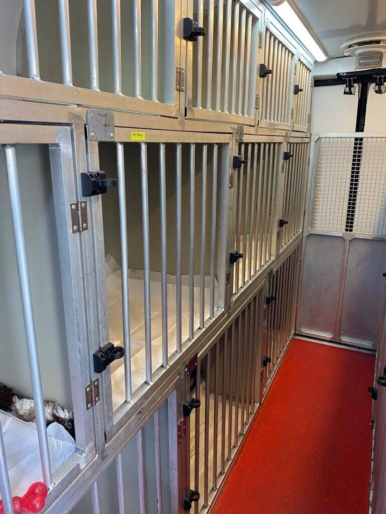 International Pet (Dogs and Cats) Transport Van - with all Licenses Photo 9