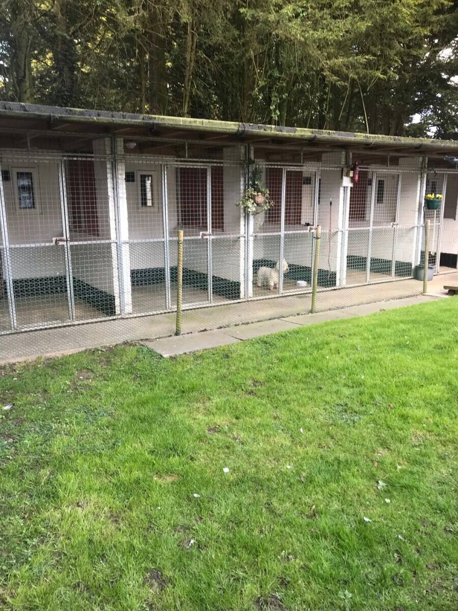 Kennels and cattery in Leicestershire with Accommodation